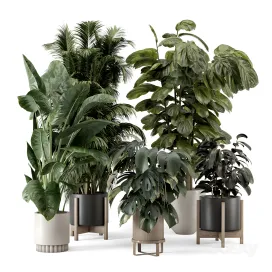 Indoor plants in ferm living bau pot large 2
